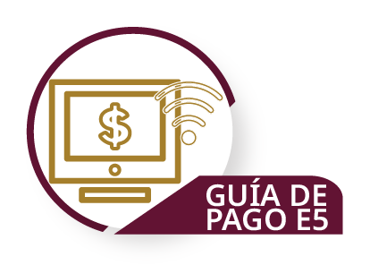 Guia de Pago E5
